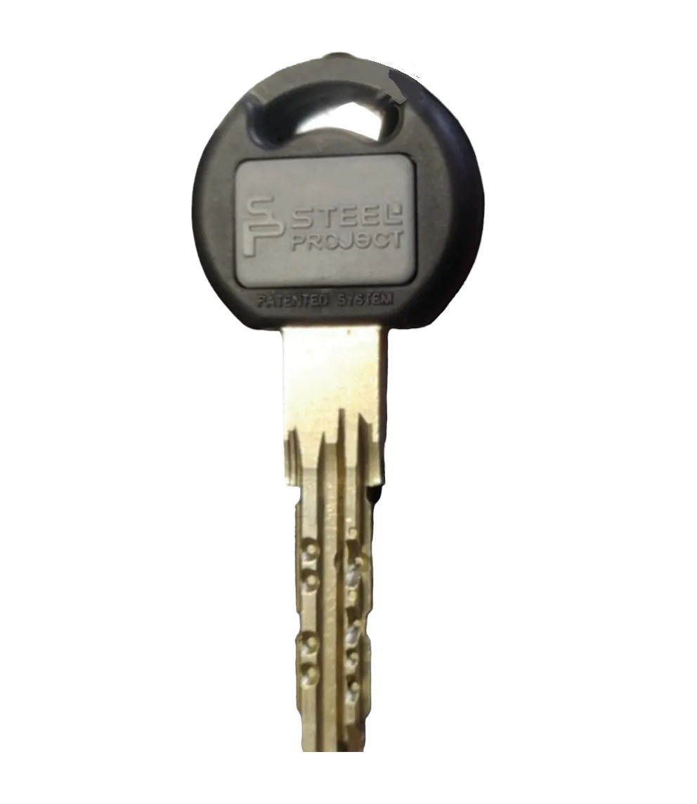 Copie de clé Steel Project Porte blindées