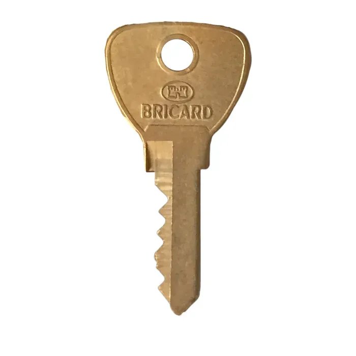 Copie de clé Bricard Alpha Ancien